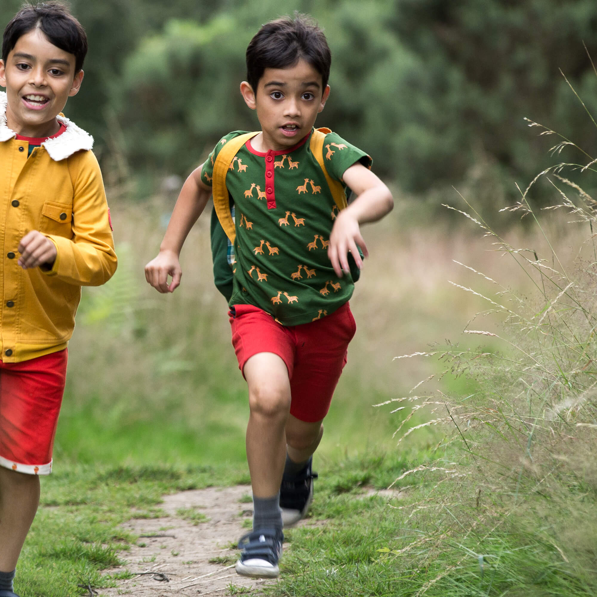 Thumbnail 1